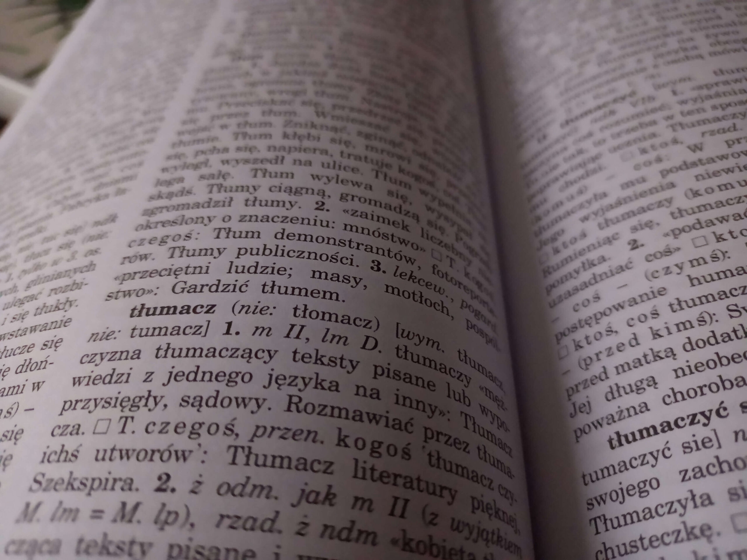 Hasło "tłumacz" w słowniku.