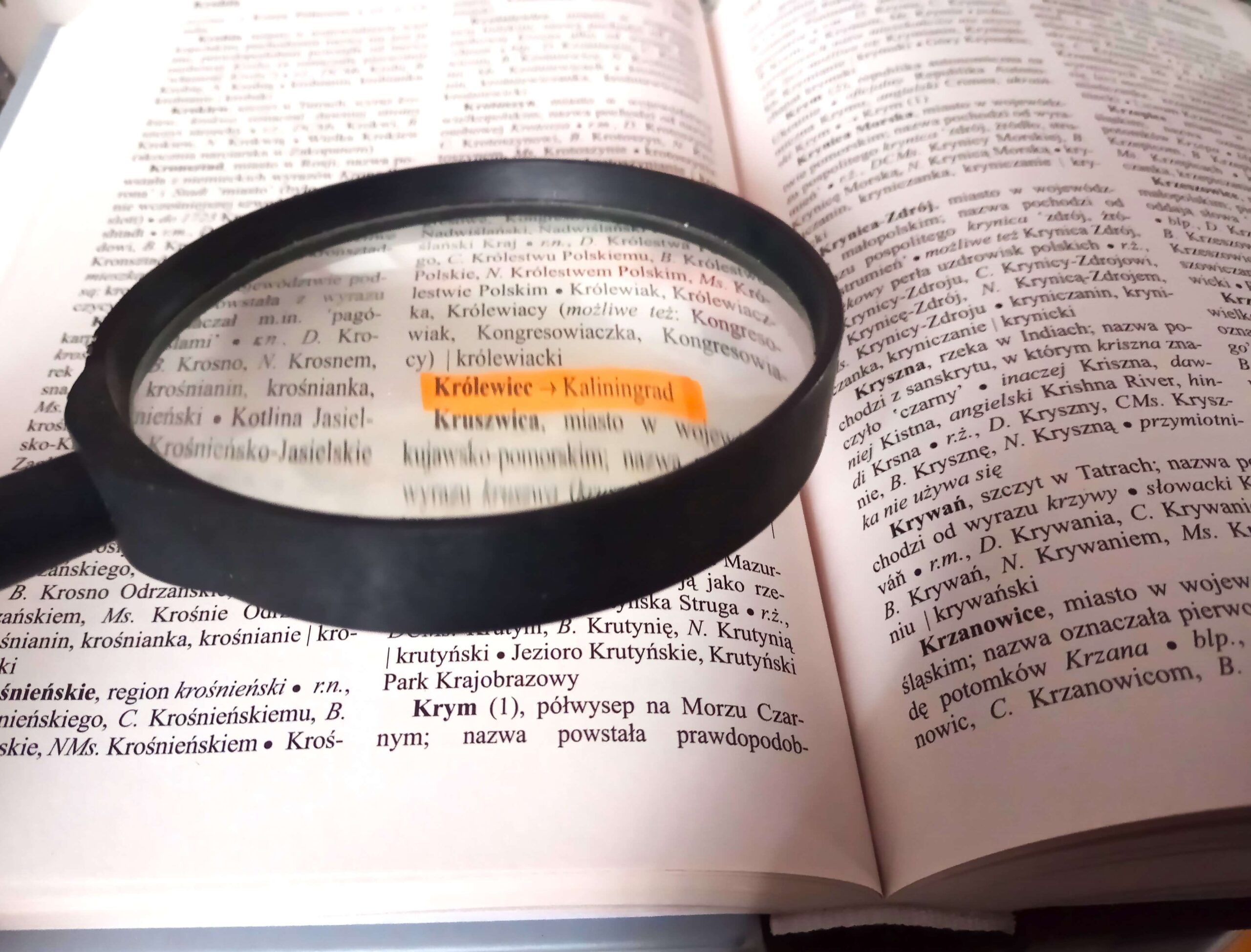 You are currently viewing Nadążający tłumacz języka rosyjskiego