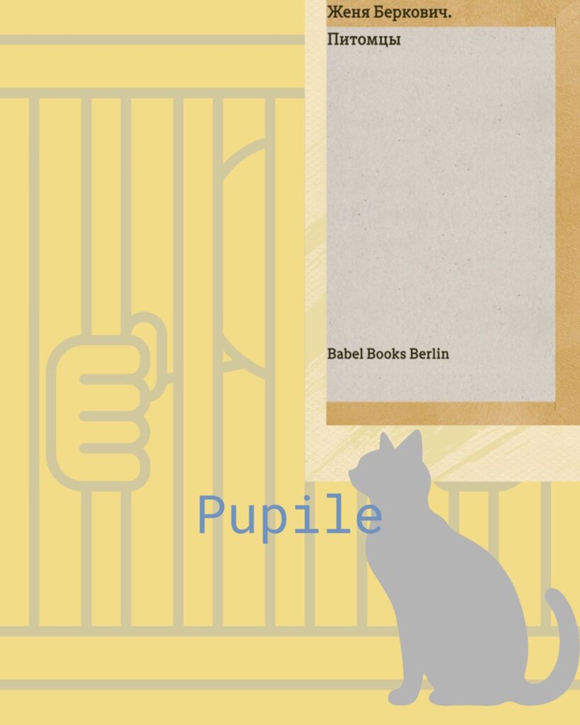 Propozycajka na temat utworu Pupile Żeni Berkowicz.